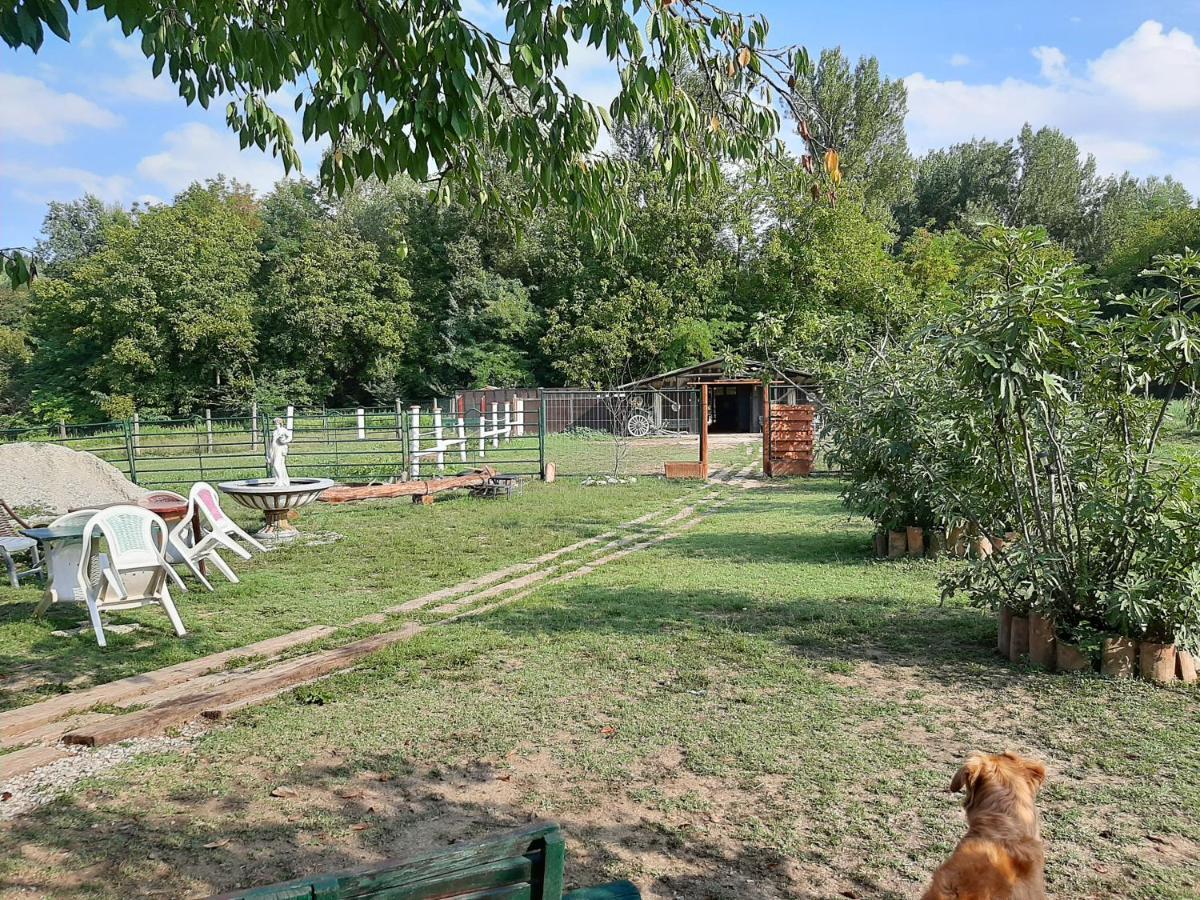 Bed and Breakfast La Baia Dei Lupi Rezzano Екстер'єр фото